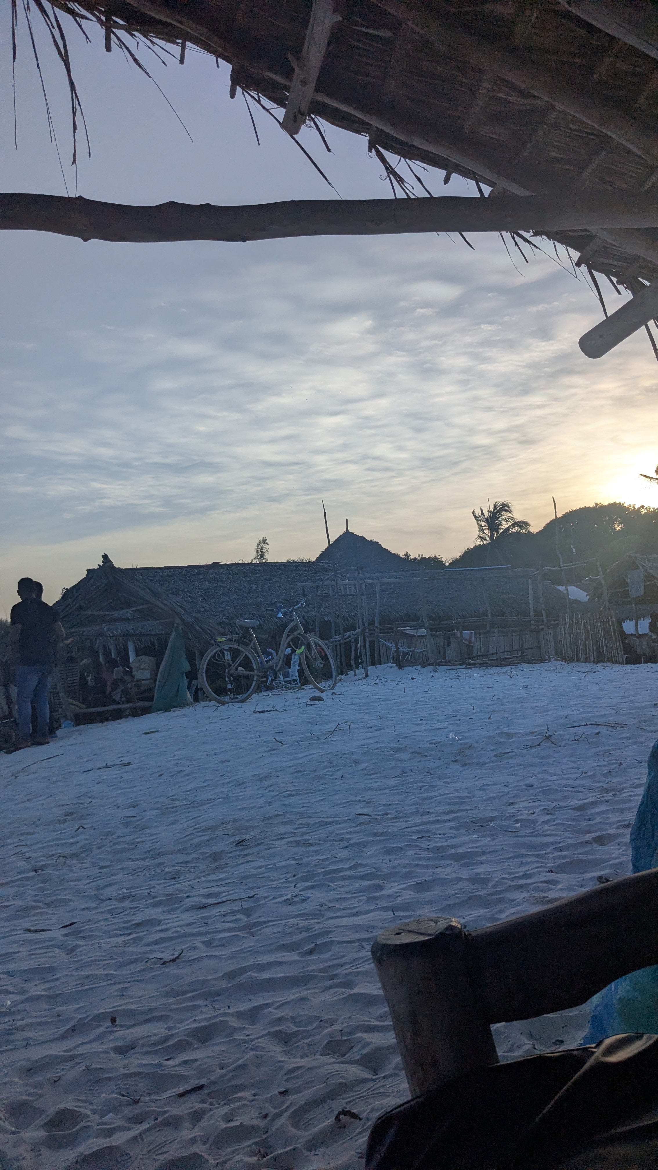 Express Safaris Tour